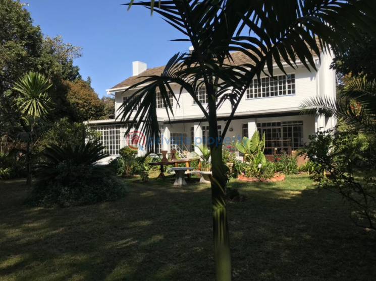 4 bedroom Houses For Rent Highlands Harare North  - 0