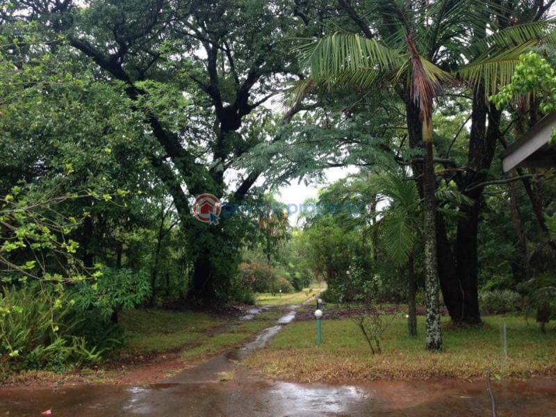 Houses For Sale Masvingo (PID 0PAABH) Private Property