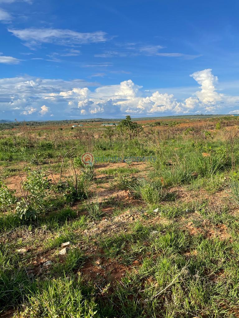 Farm & Agricultural land For Sale 2 Darwendale Road Norton Mashonaland