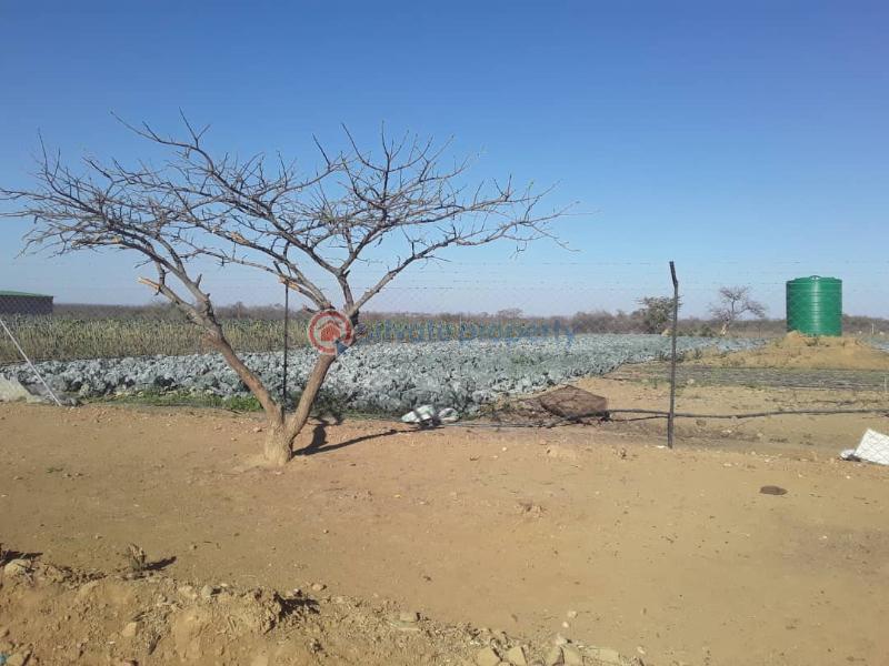 Farm & Agricultural land For Sale Harold Road Bulawayo East  - 0