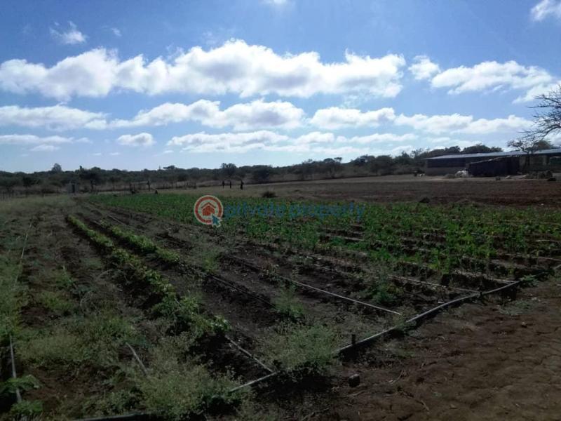 Farm & Agricultural land For Sale Harold Road Bulawayo East (PID