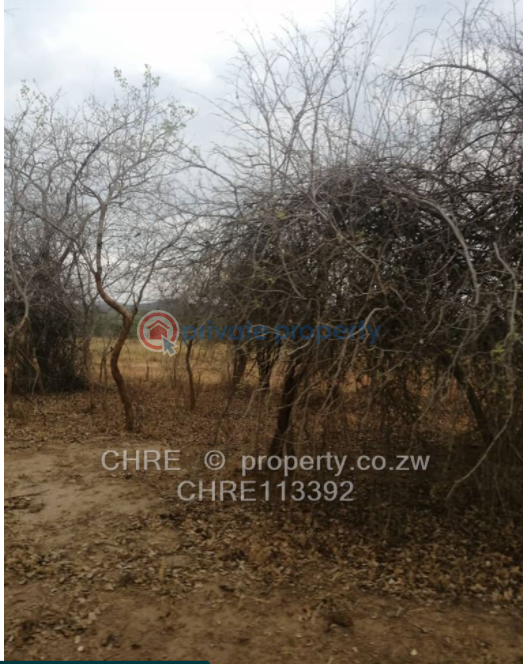 Land For Sale Chinhoyi Mashonaland West (PID 1PAABC) Private Property