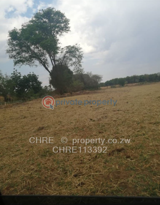 Land For Sale Chinhoyi Mashonaland West (PID 1PAABC) Private Property