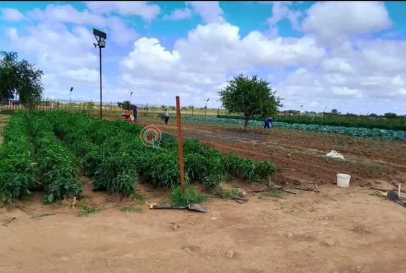 Stands & Residential land For Sale Harold Road Bulawayo East (PID