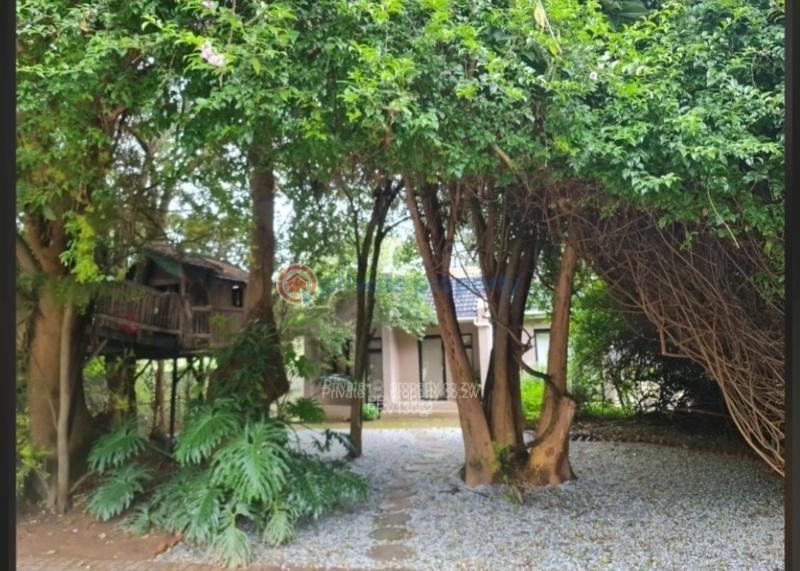 2 bedroom Cottages For Rent Piers Borrowdale Harare North (PID 9PAAEG