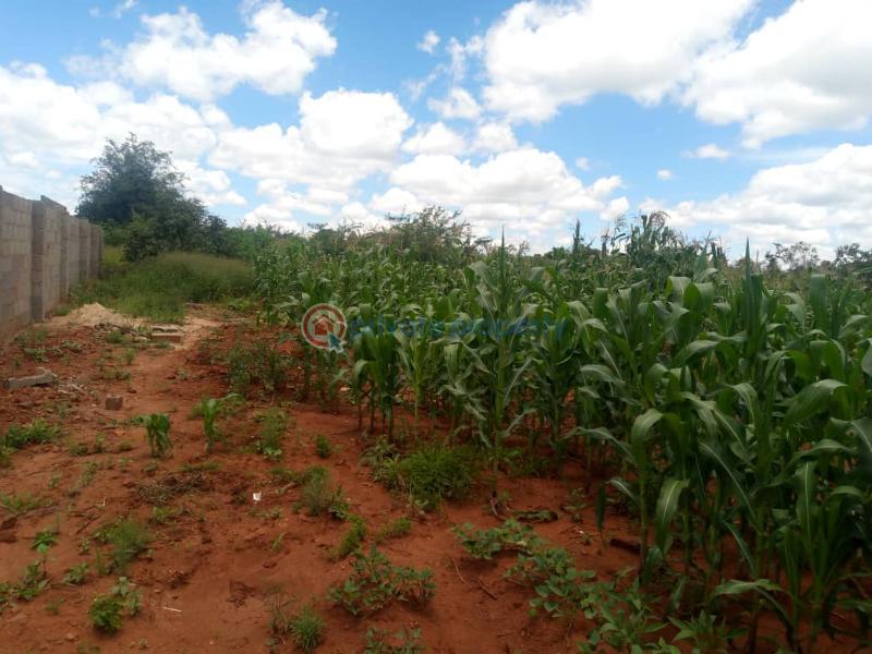 Land For Sale Redcliff Midlands (PID 6PAABA) Private Property