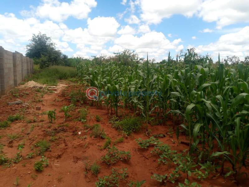 Land For Sale Redcliff Midlands (PID 6PAABA) Private Property