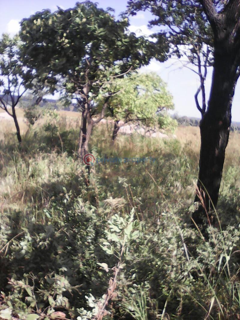 Stands & Residential land For Sale Borrowdale Harare North (PID 9PAAAW