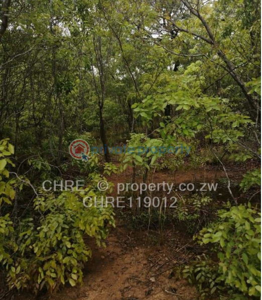 Land For Sale Kadoma Mashonaland West (PID 8PAABE) Private Property